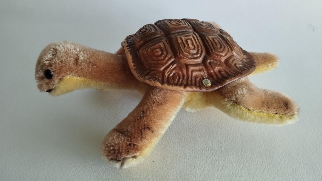 Have you seen a Steiff turtle before