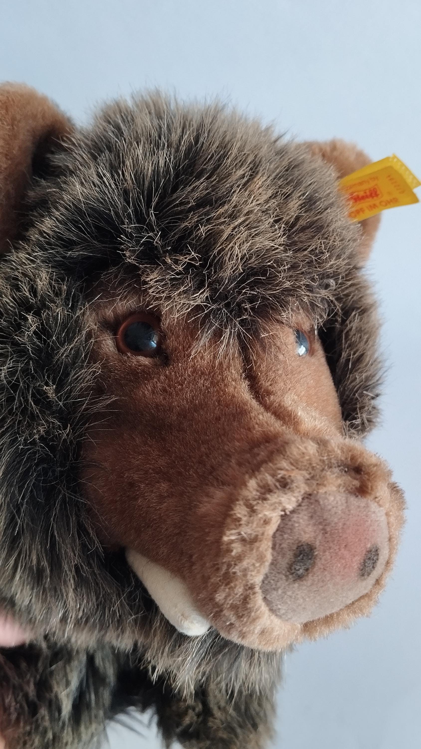 ★シュタイフ★Wild Boar＆Dalle★ウリボウ＆イノシシ★STEIFF★ ☆シュタイフ☆Wild Boar＆Dalle☆ウリボウ＆イノシシ☆STEIFF☆