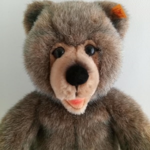 1999 steiff bear - Etsy 日本