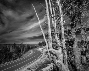 Straße im Bryce Canyon