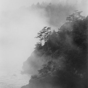 K&ouml;nnte beinhalten: Ein Schwarzwei&szlig;foto einer nebeligen K&uuml;ste mit B&auml;umen und einem Gew&auml;sser. Der Nebel ist dicht und verdeckt die Details der Landschaft.