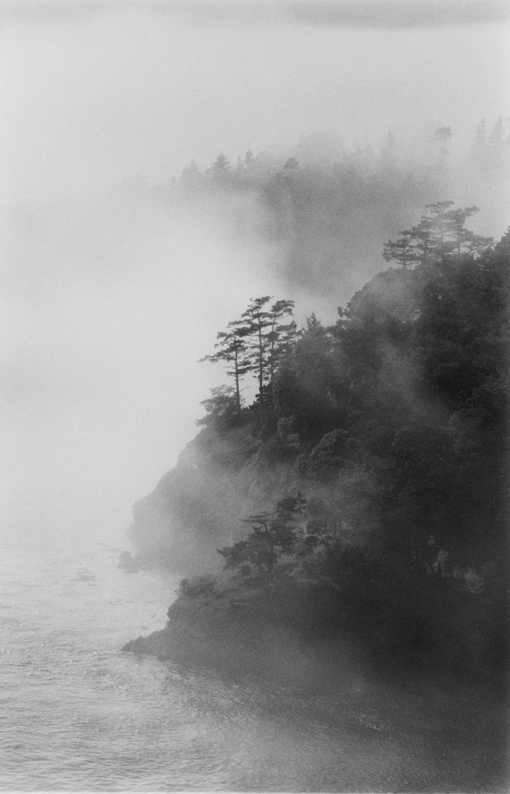 Image from Snow Falling on Cedars, Whidbey Island, WA