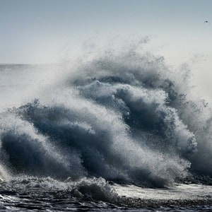 May include: A panoramic view of a large ocean wave cresting and breaking. The wave is a deep blue-gray color, with white foam and spray. The sky is a pale blue, and the horizon is visible in the distance. The image captures the power and beauty of the ocean.
