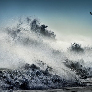 May include: A dramatic black and white photograph of large waves crashing against a rocky shore. The waves are so powerful that they are creating a mist of spray in the air. A single bird flies overhead.