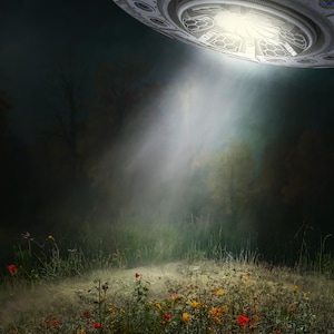 May include: A silver UFO hovers over a field of wildflowers, casting a bright beam of light down on the ground. The flowers are a mix of red, yellow, and orange.