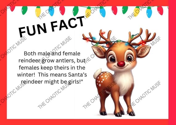 Blueberry Notebook - Ruled Pages - 8x10 - Premium Cuaderno (Powder Blue