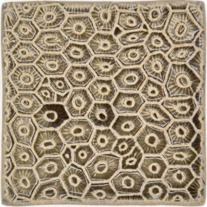 May include: A square ceramic tile with a raised pattern of brown and beige honeycomb shapes.