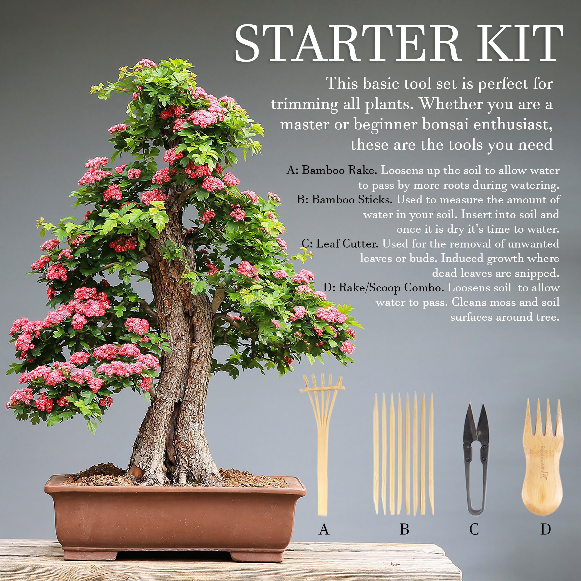 Bonsai Tree Pruning Trimming Starter Tool Kit Leaf Trimmers Etsy