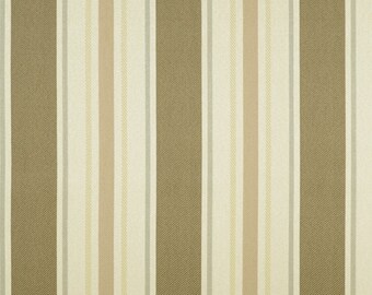 Covington Solution Dyed Performance Outdoor/Indoor Fabric SD-Cayman 69 Driftwood