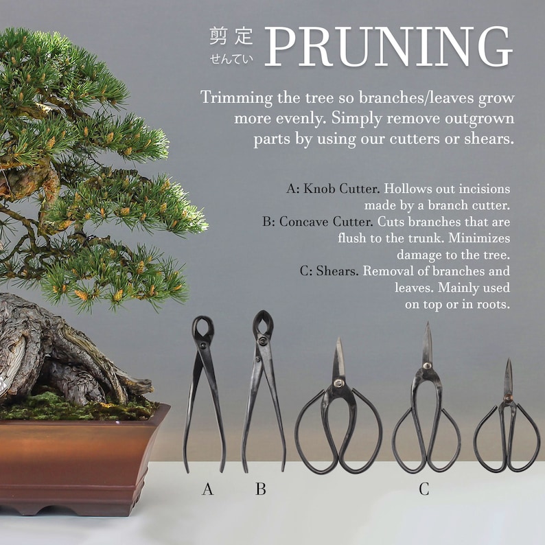 Bonsai 5pc Shear Set Concave Cutter Knob Cutter 2 Styles Etsy