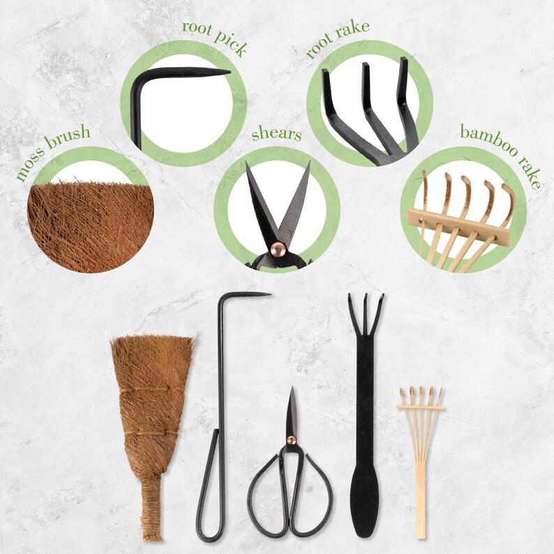 Bonsai 5pc Basic Care Set Root Rake, Shear, Root Pick, Bamboo brush, and Moss brush image 3