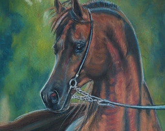 Commissioned Horse Portraits