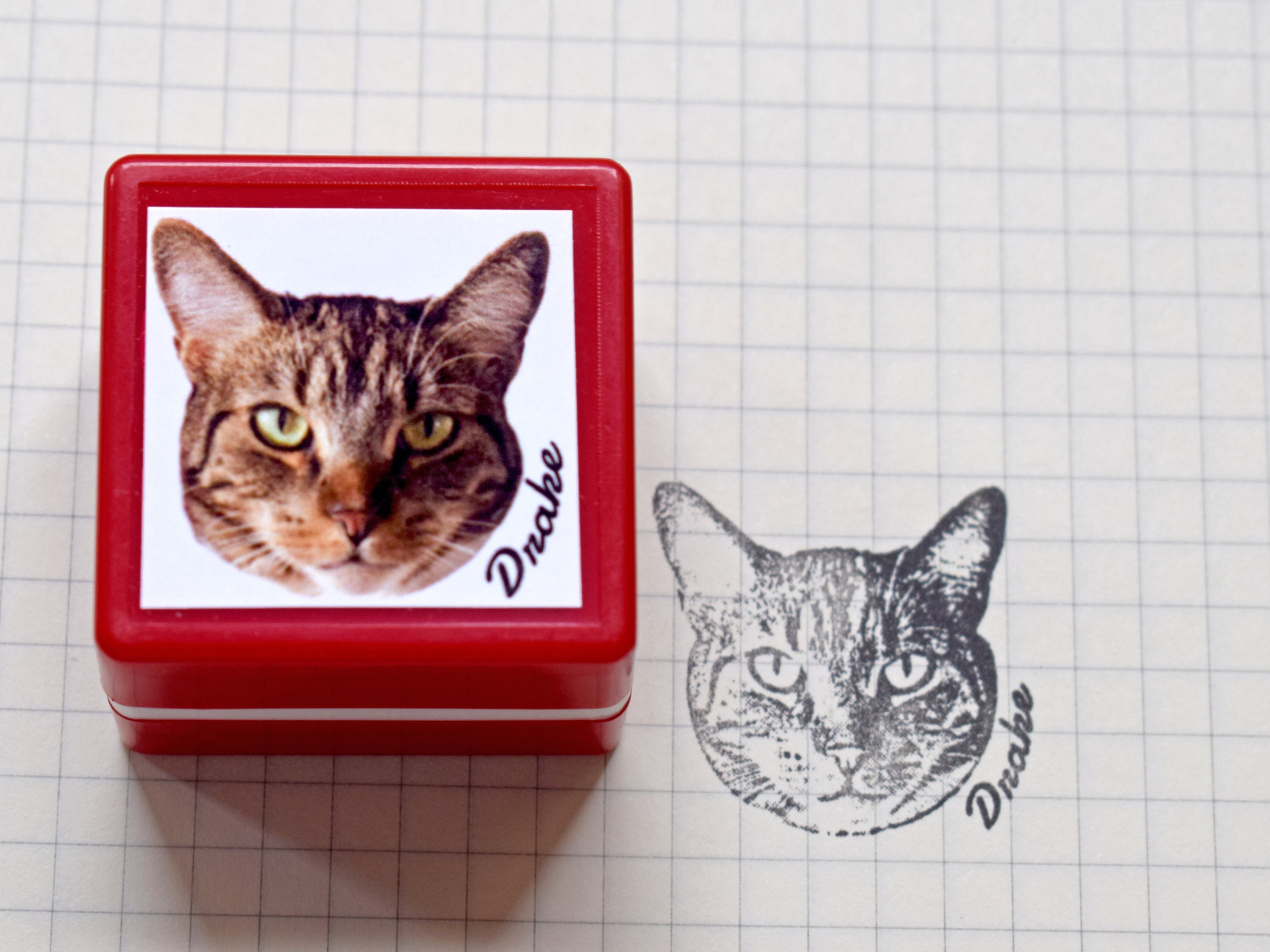 Custom Pet Portrait Stamp, Custom Cat Dog Bird Parrot  Rabbit, Personalized Animal Stamp, Customized Pet Portrait, Pet Ink, Stamp, Gift Idea