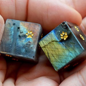 Lazy Cat Crawl Dice D6, Engraved Gemstone Dice D6, Collectible Dice, Cat Paw Dice, Amethyst Polyhedral Dice, Gem Dice, Kitten Dice
