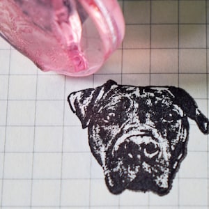 Timbro personalizzato con ritratto di animale domestico, timbro personalizzato con gatto, cane, uccello, pappagallo, coniglio, timbro in acrilico personalizzato con animale, timbro aziendale, timbro con logo, idea regalo