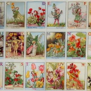 Flower Fairies ABC 23&quot; x 43&quot; Panel by Michael Miller ~ Alphabet  Cotton Fabric By the Panel ~ DC4197-MULT