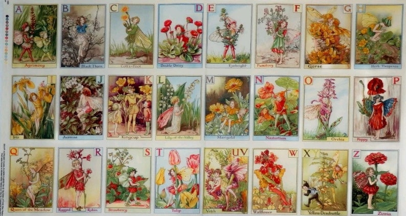 May include: A colorful alphabet chart featuring fairies and flowers. Each letter of the alphabet is paired with a different fairy and flower, such as the "A" for Apricot and the "B" for Blackthorn.
