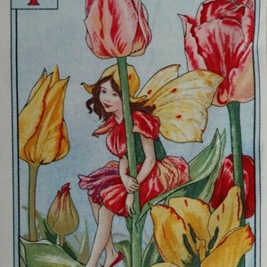 May include: A fairy sits on a tall green stem of a red and white tulip. The fairy has wings and is wearing a red, yellow, and purple dress. The background is a light blue with other tulips in yellow, red, and white.