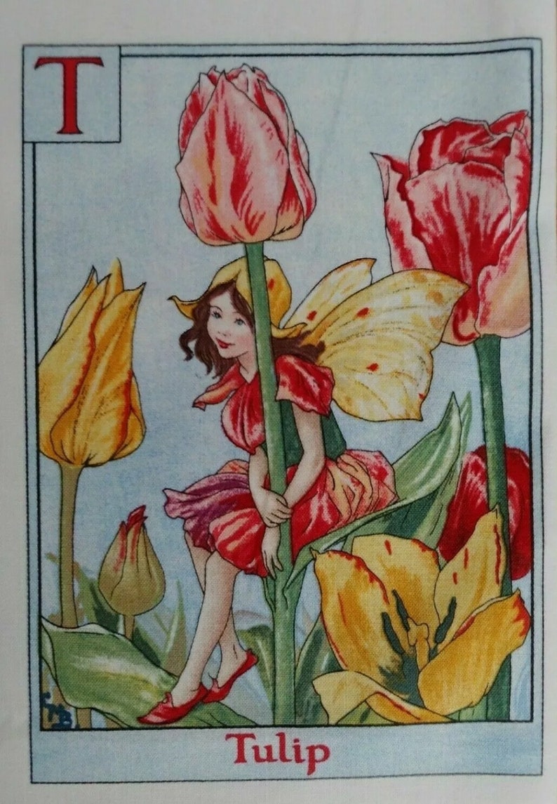 May include: A fairy sits on a tall green stem of a red and white tulip. The fairy has wings and is wearing a red, yellow, and purple dress. The background is a light blue with other tulips in yellow, red, and white.