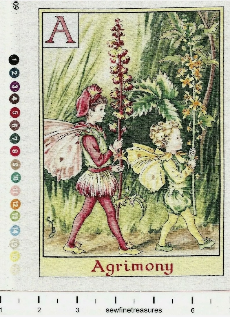 May include: A vintage illustration of two fairies holding stalks of flowers. The fairies are wearing red and yellow clothing and have wings. The flowers are yellow and red. The illustration is titled "Agrimony".