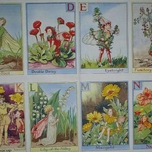 May include: An alphabet chart featuring illustrations of fairies and flowers. Each letter is paired with a flower and a fairy holding the flower. The flowers include Coltsfoot, Double Daisy, Eyebright, Fumitory, Kingcup, Lily-of-the-Valley, Marigold, and Nasturtium.