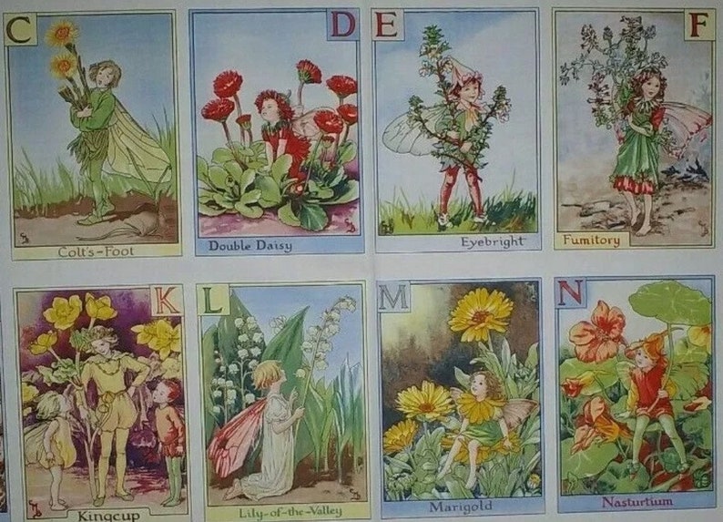 May include: An alphabet chart featuring illustrations of fairies and flowers. Each letter is paired with a flower and a fairy holding the flower. The flowers include Coltsfoot, Double Daisy, Eyebright, Fumitory, Kingcup, Lily-of-the-Valley, Marigold, and Nasturtium.