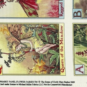 May include: A vintage illustration of a fairy sitting on a plant with the letter Q and the text "Queen of the Meadow". The illustration is part of a larger alphabet panel featuring flower fairies.
