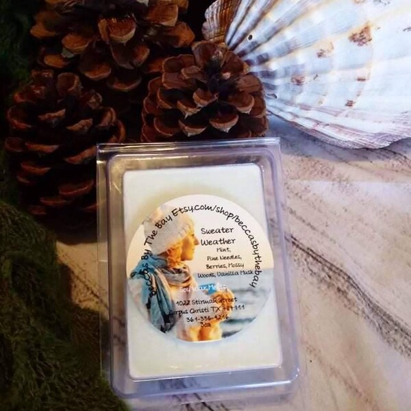 Sweater Weather Organic Soy Wax Melts Self Care Gifts Beach Ocean Winter Mint Pine Moss Woods Vanilla Musk Gifts For Her Him Mom Dad Lover