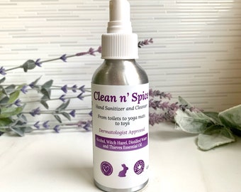 Clean n' Spice - Air Freshener & Spritzer