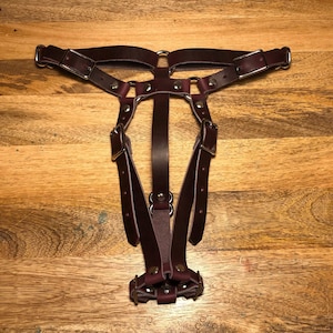 Doxy harness hotsell