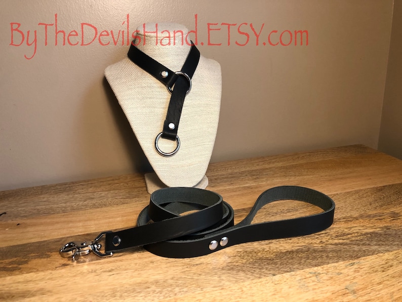 Leather Choke Collar With Matching Leash In Black Essex Super Soft Horween Leather Pretty, Functional, Durable BKE-BE image 1