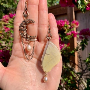 Asymmetrical Luna Moth Earrings//Celestial Antique Brass Earrings//Real Moth Wings//Resin Jewelry//Insect Jewelry//Pearls