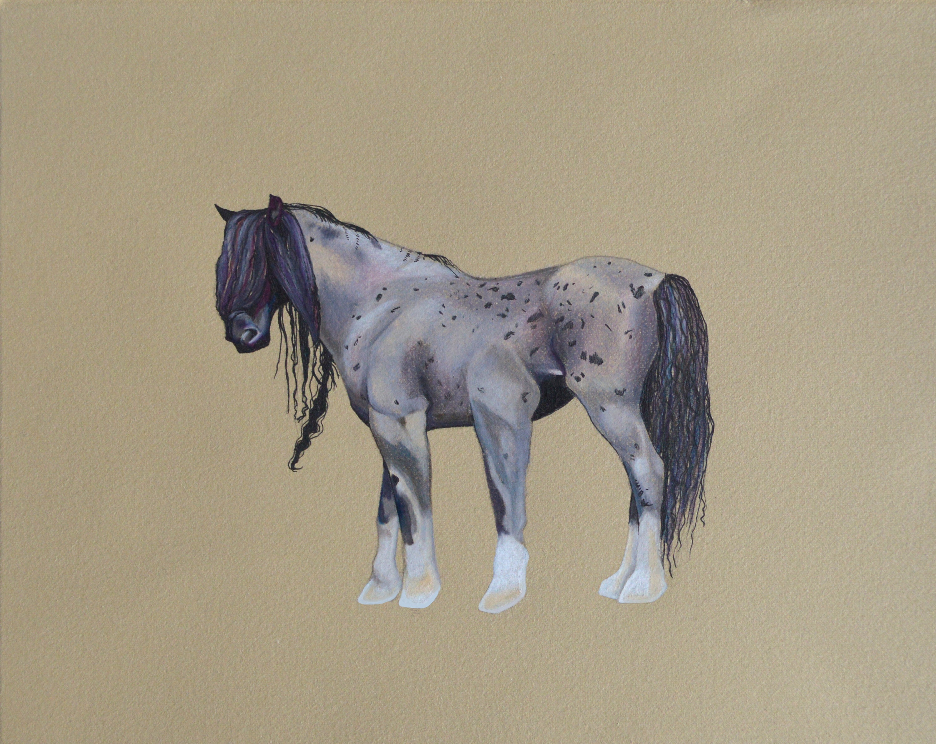 Blue Roan Chimera No.3