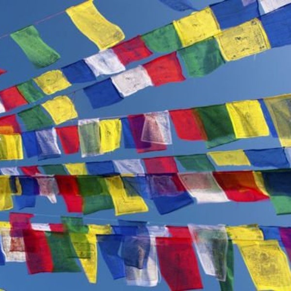 5 String Packs (Various Sizes) - Tibetan Buddhist Prayer Flags Wind Horses  - Made In Nepal ॐ