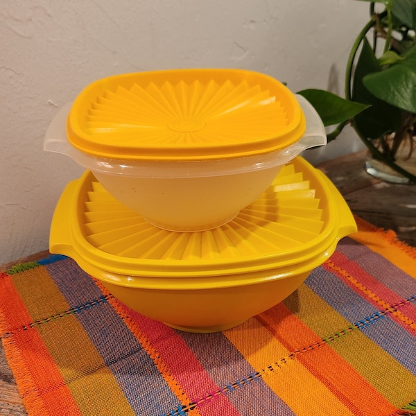 Vintage 1970-90's Tupperware nesting Servalier bowls with lids # 836 / 840 set of Two