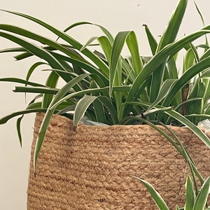 Hand-braided Baskets — available as sets