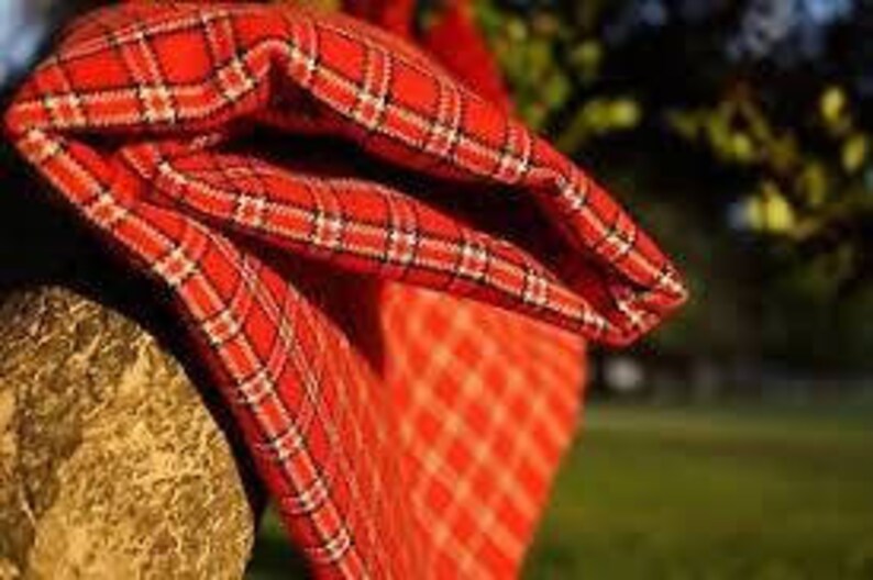 Red and blue Maasai Shuka