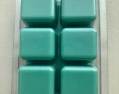 Soy Wax Melts, Mint Green, Rosemary Sage scented wax melts, aroma therapy, calming scent