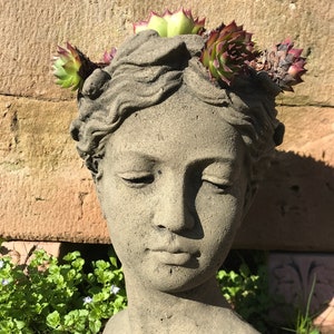 Könnte beinhalten: Eine graue Steinbüste einer Frau mit einer Krone aus Sukkulenten auf dem Kopf. Die Büste wird als Pflanzgefäß verwendet und die Sukkulenten wachsen aus der Oberseite des Kopfes.