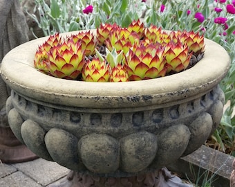 Trog Blumenkübel Pflanztopf rund zum bepflanzen Kunst Sandstein B 14