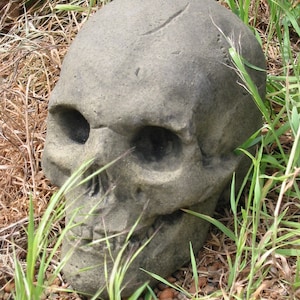 Skull skull medium art sandstone antique look H 36