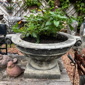 Könnte beinhalten: Ein verwitterter, grauer Steintopf gefüllt mit grünen Pflanzen und kleinen orangefarbenen Blüten. Der Topf hat ein verziertes Design und steht auf einem quadratischen Sockel. Zwei kleine Vogelstatuen sind im Vordergrund.