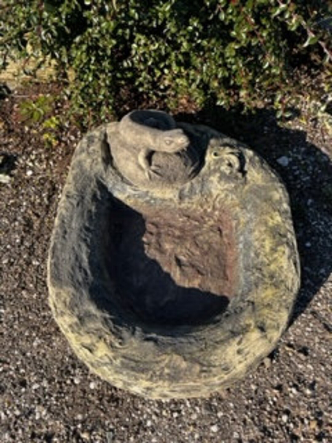 Watering Bird Baths Square Lizard Mini and Lizard Large Art Sandstone D