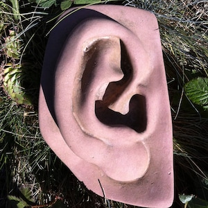 Ear sculpture art sandstone antique look H 54