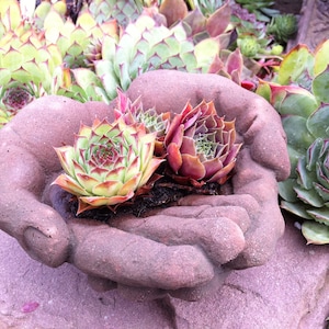 Birdbath drinking bowl hands small art sandstone D 10