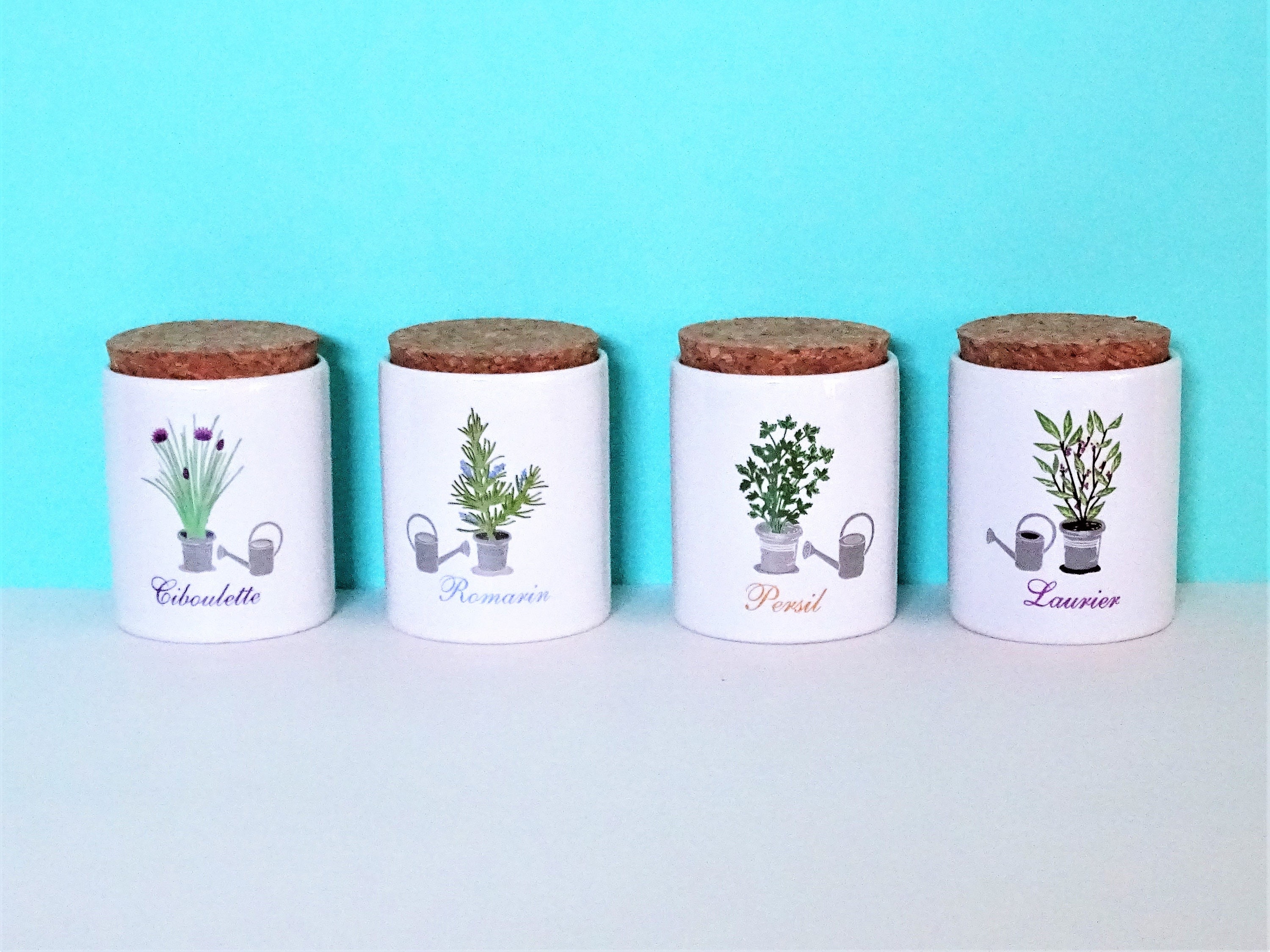 Ensemble de 4 Pots à Aromates Pour La Cuisine