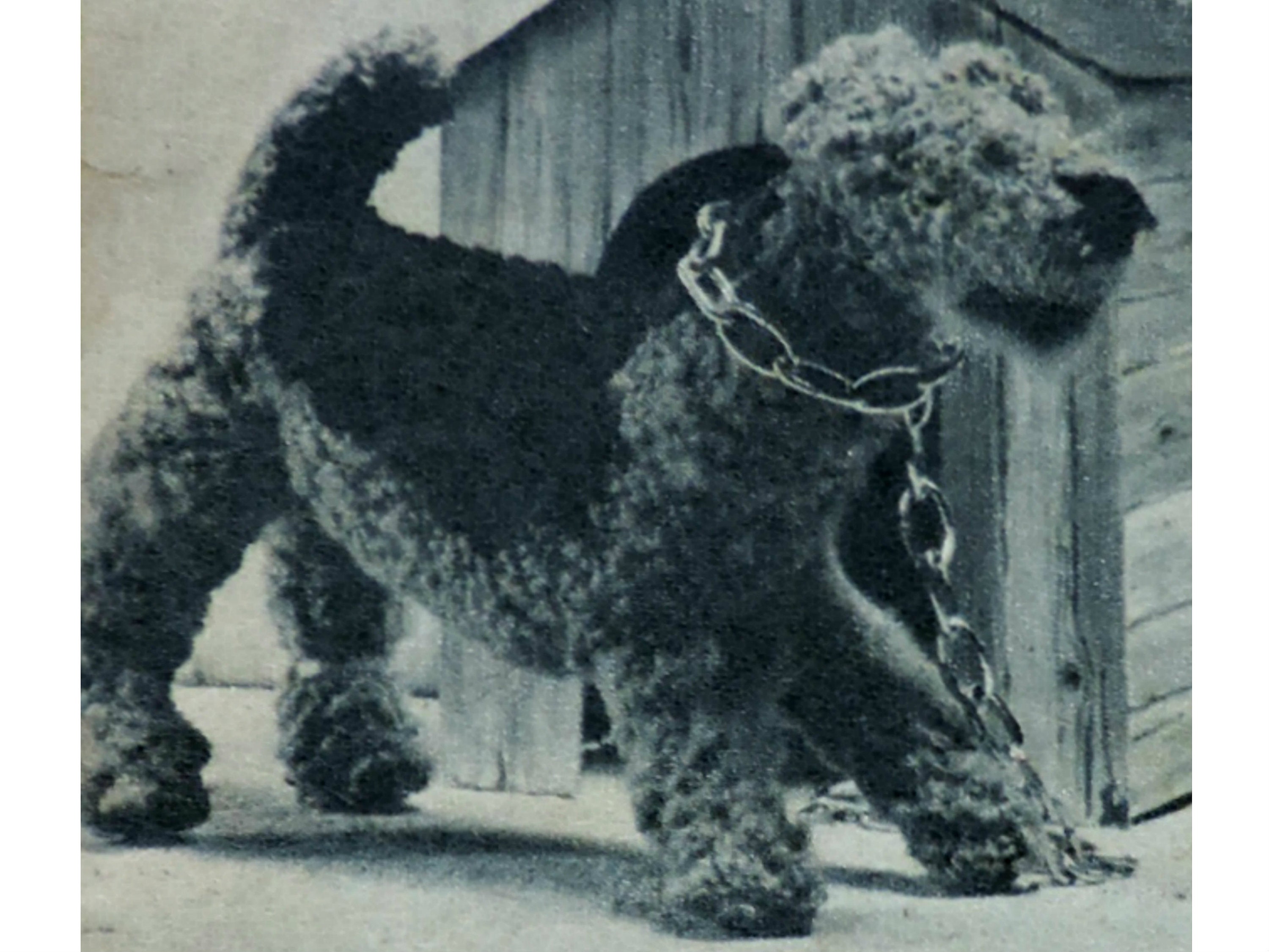 airedale stuffed animal