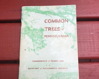 Common Trees Of Pennsylvania Department of Environmental Resources Illustrated 1975