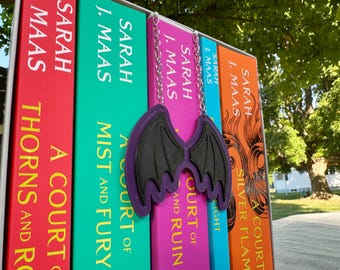 Bat Wings Hanging Shelf & Book Decor