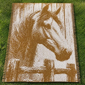 Overlay Mosaic Croceht, Horse Bust 2, written pattern row by row, Big Chart with Xs, PDF instant download